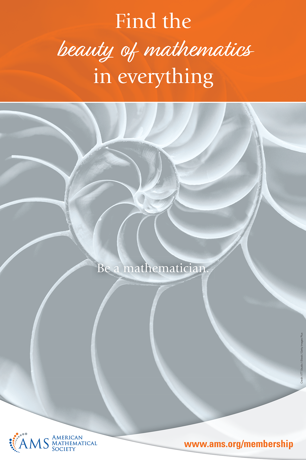 Find The Beauty Of Mathematics In Everything Poster (Gray)
