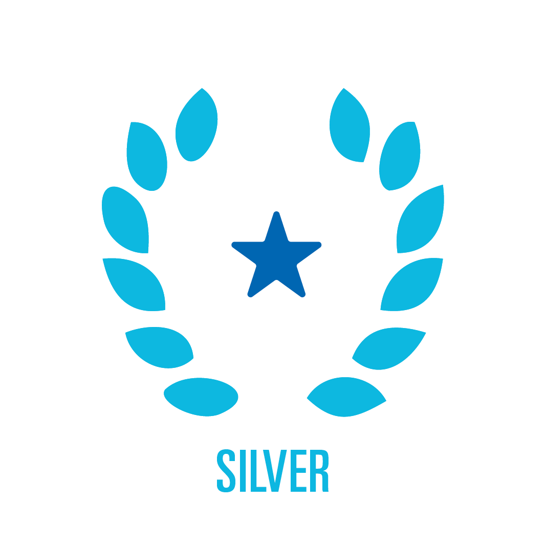 Silver VIP - Sponsorship